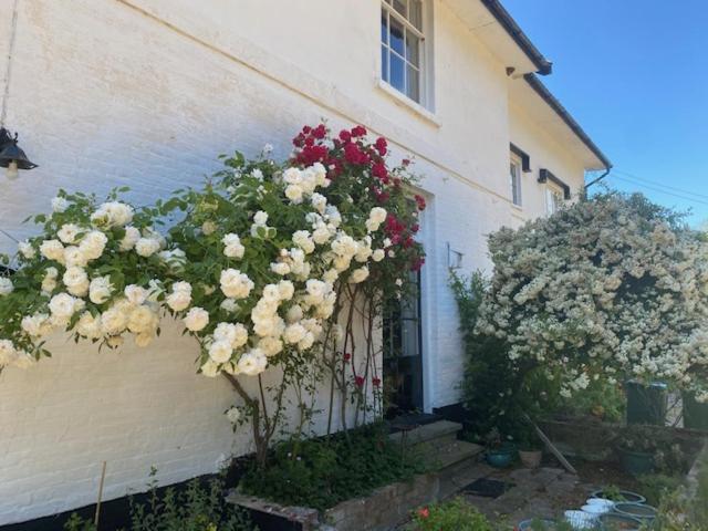 Old Rectory - Scoulton Διαμέρισμα Great Ellingham Εξωτερικό φωτογραφία
