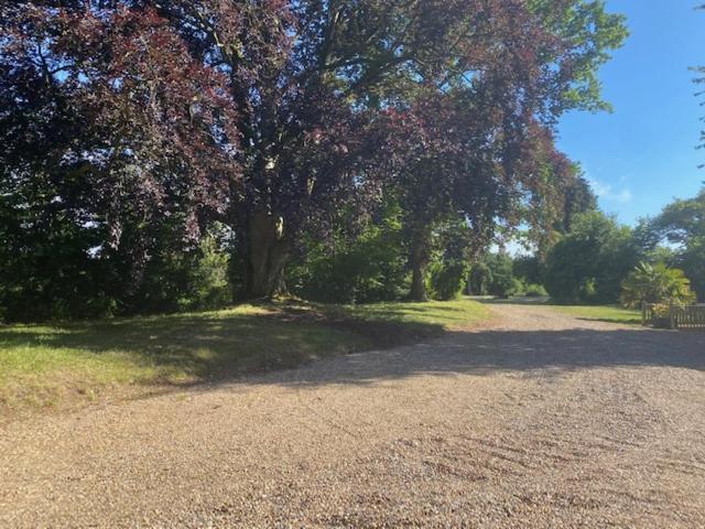 Old Rectory - Scoulton Διαμέρισμα Great Ellingham Εξωτερικό φωτογραφία